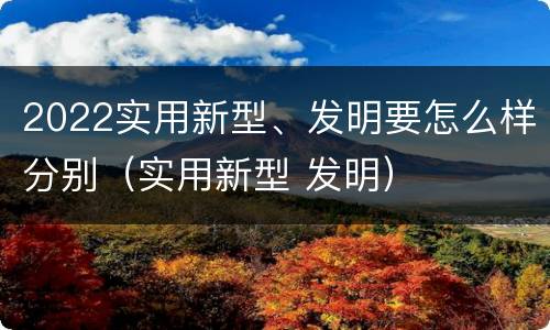 2022实用新型、发明要怎么样分别（实用新型 发明）