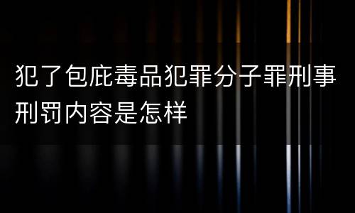 犯了包庇毒品犯罪分子罪刑事刑罚内容是怎样