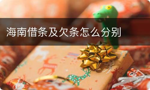 海南借条及欠条怎么分别