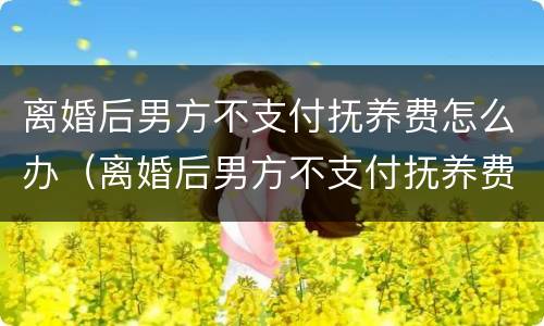 离婚后男方不支付抚养费怎么办（离婚后男方不支付抚养费怎么办?）