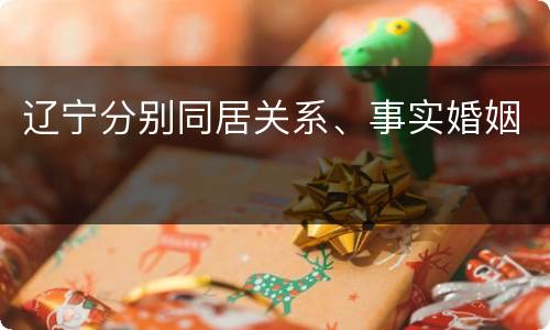 辽宁分别同居关系、事实婚姻