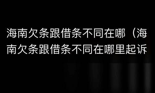 海南欠条跟借条不同在哪（海南欠条跟借条不同在哪里起诉）
