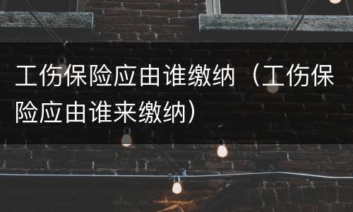 工伤保险应由谁缴纳（工伤保险应由谁来缴纳）