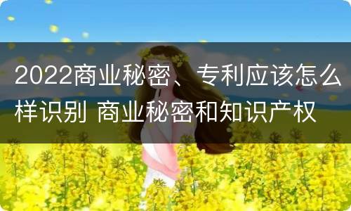 2022商业秘密、专利应该怎么样识别 商业秘密和知识产权