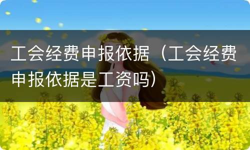 工会经费申报依据(工会经费申报依据是工资吗)