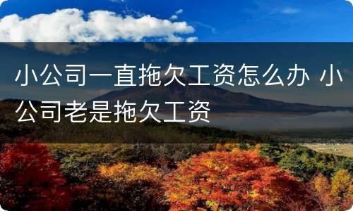 小公司一直拖欠工资怎么办 小公司老是拖欠工资