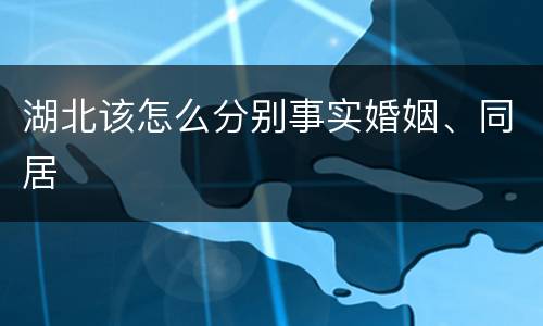 湖北该怎么分别事实婚姻、同居