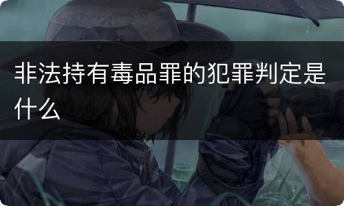 非法持有毒品罪的犯罪判定是什么