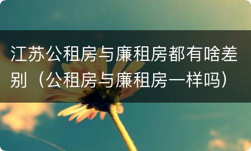 江苏公租房与廉租房都有啥差别（公租房与廉租房一样吗）