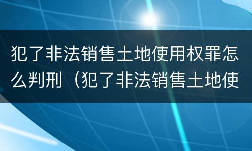 犯了非法销售土地使用权罪怎么判刑（犯了非法销售土地使用权罪怎么判刑呢）