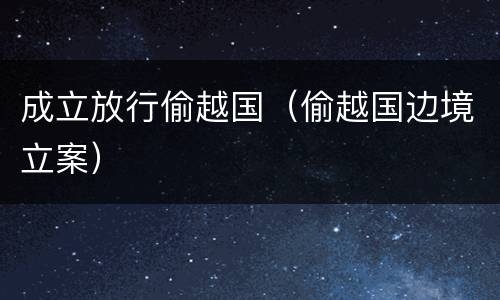 成立放行偷越国（偷越国边境立案）