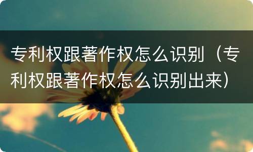 专利权跟著作权怎么识别（专利权跟著作权怎么识别出来）