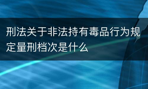 刑法关于非法持有毒品行为规定量刑档次是什么