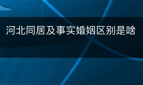 河北同居及事实婚姻区别是啥