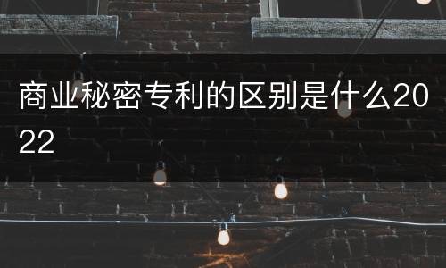 商业秘密专利的区别是什么2022