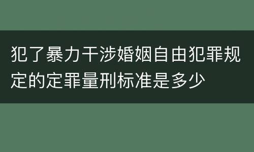 犯了暴力干涉婚姻自由犯罪规定的定罪量刑标准是多少