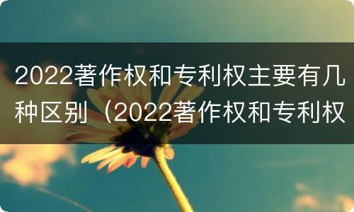 2022著作权和专利权主要有几种区别（2022著作权和专利权主要有几种区别呢）