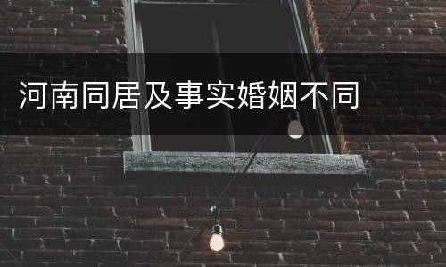 河南同居及事实婚姻不同