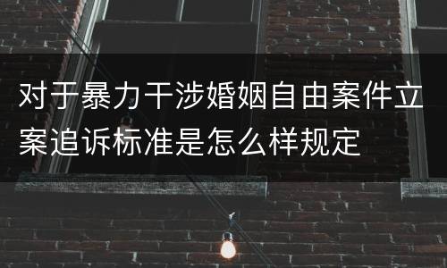 对于暴力干涉婚姻自由案件立案追诉标准是怎么样规定