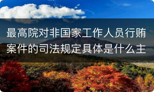 最高院对非国家工作人员行贿案件的司法规定具体是什么主要内容