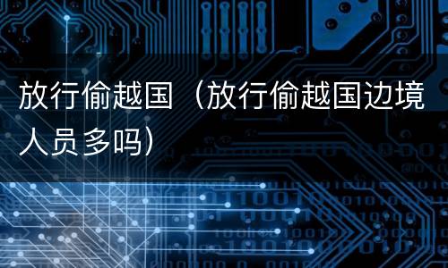 放行偷越国（放行偷越国边境人员多吗）