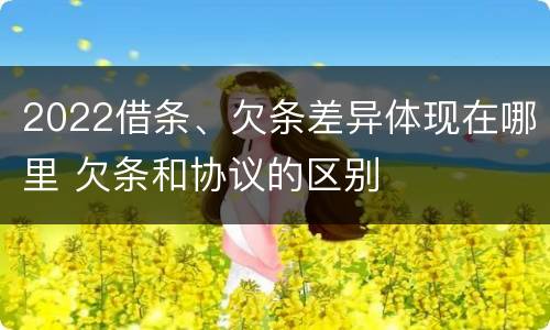 2022借条、欠条差异体现在哪里 欠条和协议的区别