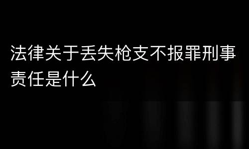 法律关于丢失枪支不报罪刑事责任是什么