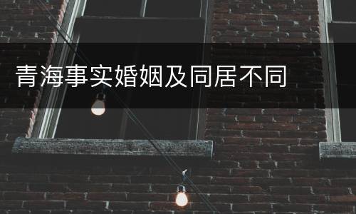 青海事实婚姻及同居不同