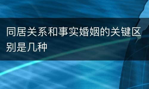 同居关系和事实婚姻的关键区别是几种