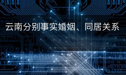 云南分别事实婚姻、同居关系