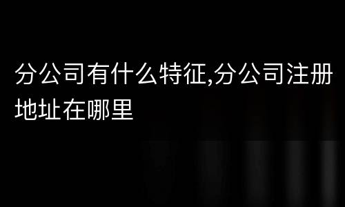 分公司有什么特征,分公司注册地址在哪里