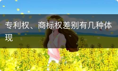 专利权、商标权差别有几种体现