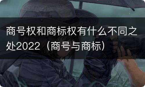 商号权和商标权有什么不同之处2022（商号与商标）