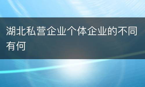 湖北私营企业个体企业的不同有何