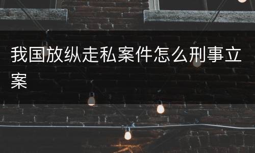 我国放纵走私案件怎么刑事立案