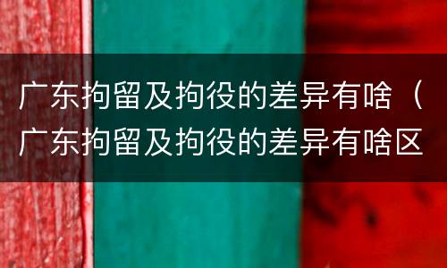 广东拘留及拘役的差异有啥（广东拘留及拘役的差异有啥区别）