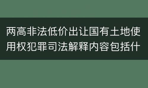 两高非法低价出让国有土地使用权犯罪司法解释内容包括什么