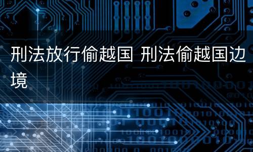 刑法放行偷越国 刑法偷越国边境