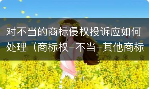 对不当的商标侵权投诉应如何处理（商标权-不当-其他商标侵权如何申诉）