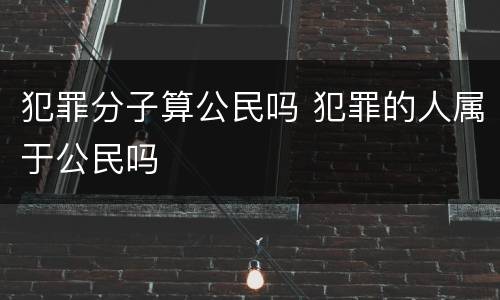 犯罪分子算公民吗 犯罪的人属于公民吗