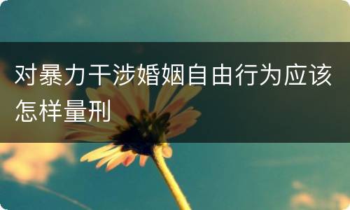 对暴力干涉婚姻自由行为应该怎样量刑