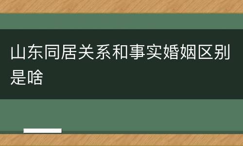 山东同居关系和事实婚姻区别是啥