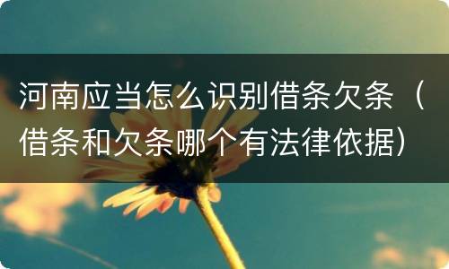 河南应当怎么识别借条欠条（借条和欠条哪个有法律依据）