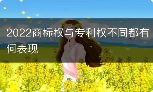 2022商标权与专利权不同都有何表现