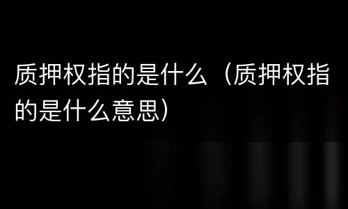 质押权指的是什么（质押权指的是什么意思）