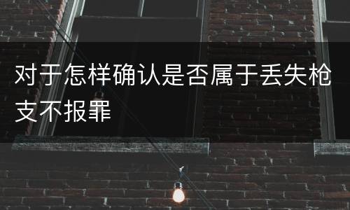 对于怎样确认是否属于丢失枪支不报罪
