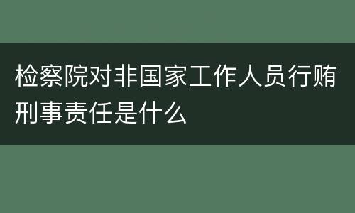 检察院对非国家工作人员行贿刑事责任是什么