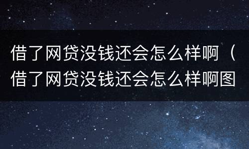 借了网贷没钱还会怎么样啊（借了网贷没钱还会怎么样啊图片）