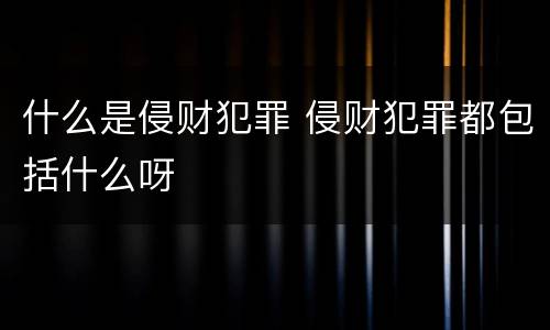 什么是侵财犯罪 侵财犯罪都包括什么呀