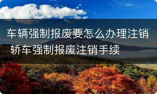 车辆强制报废要怎么办理注销 轿车强制报废注销手续